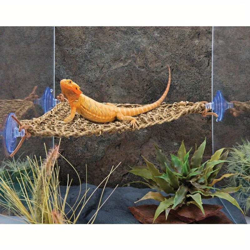 Reptile Hammock for Terrarium