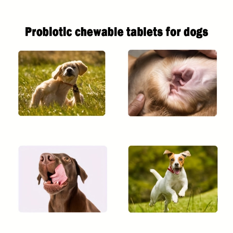 Probiotic Supplement Chewable Tablets for Pets And Dogs