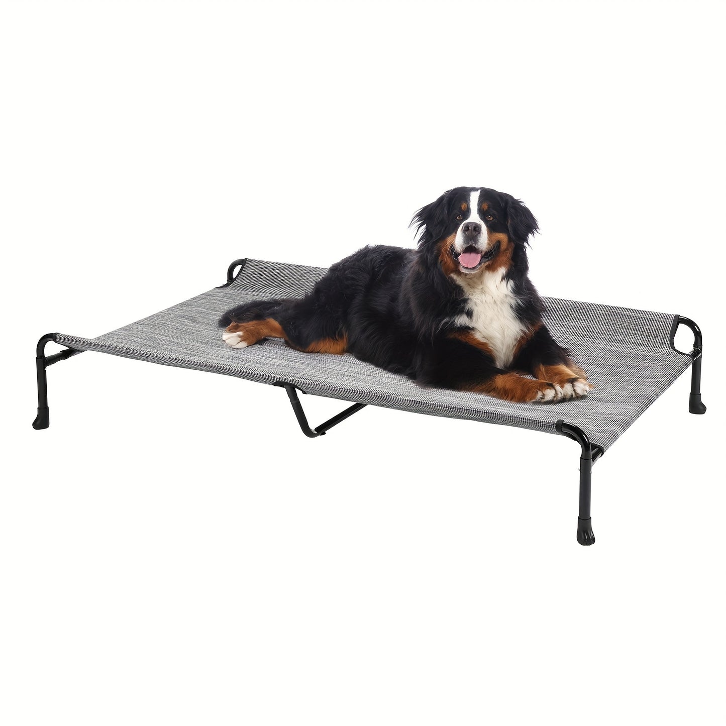 Raised Dog Beds For Large Dogs