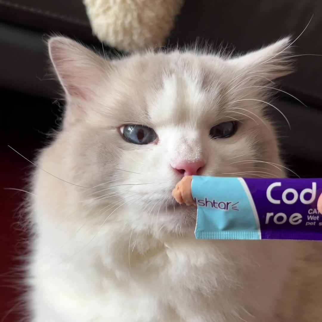 60-Pack Cat Wet Food Pack