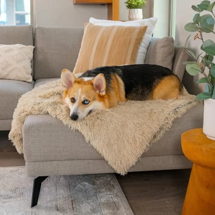 Calming Shag Dog Blanket