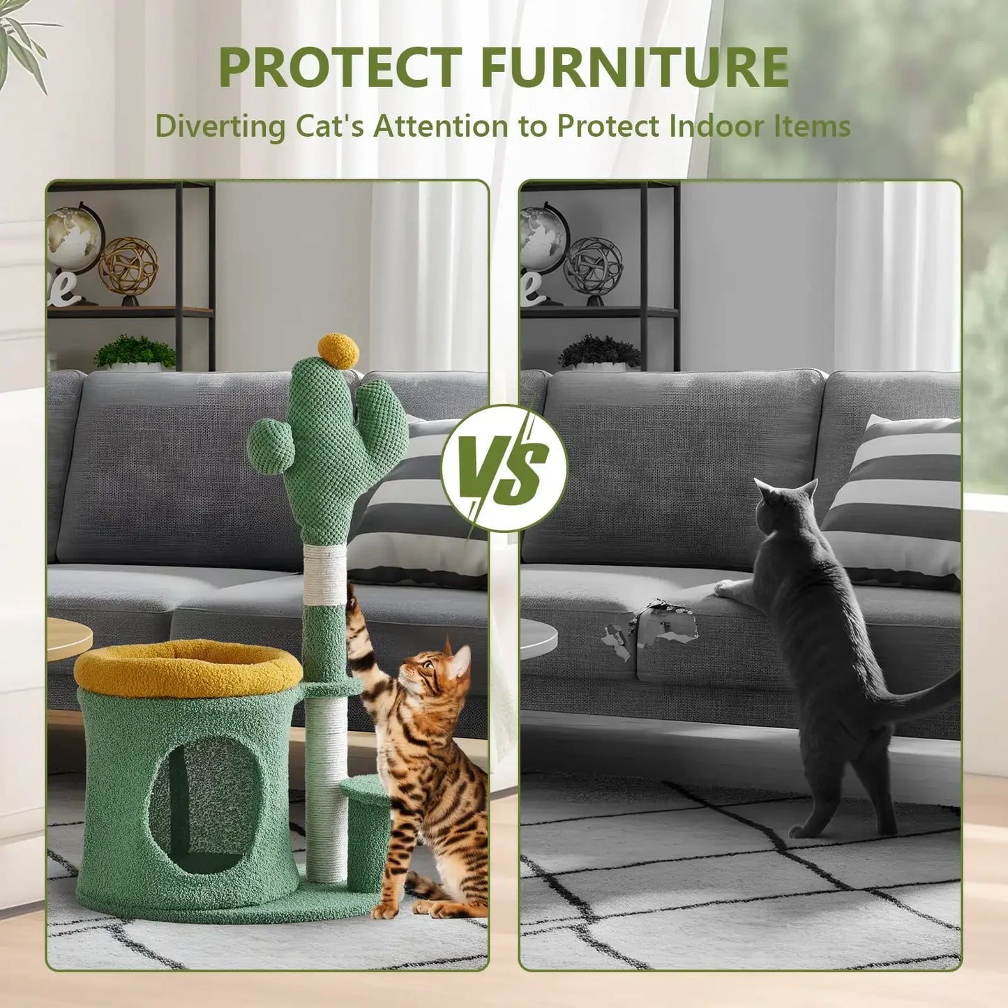 Cat Scratching Tower with Cactus