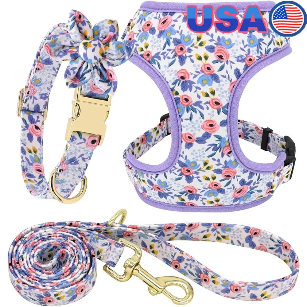 Dog Harness Leash Collar Set