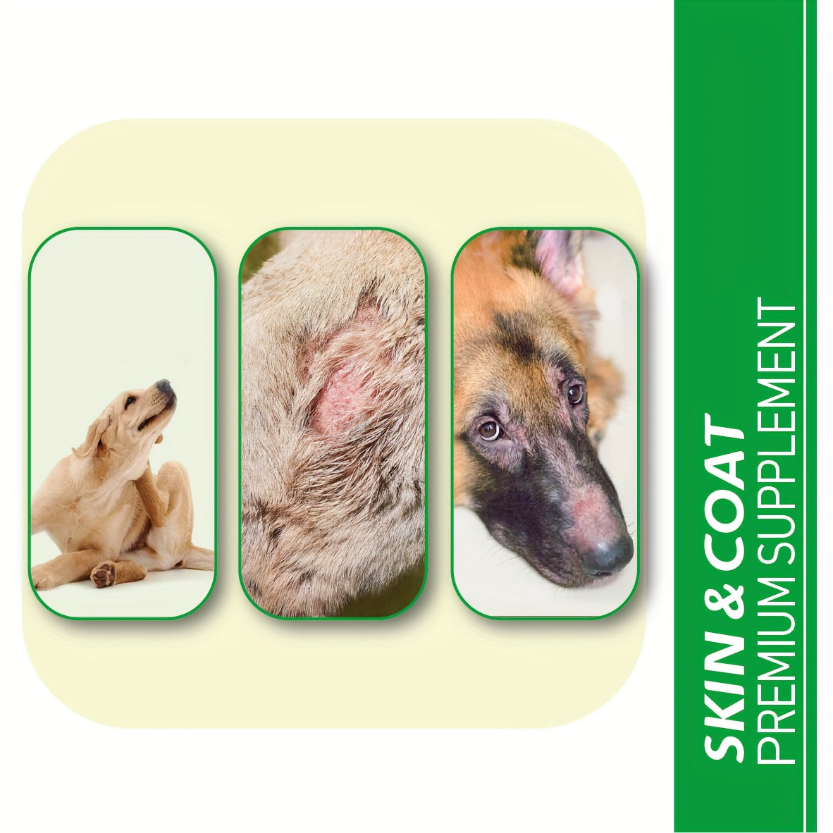 Itching Skin For Dogs, Hot Spot For Dogs, 200 Tablets