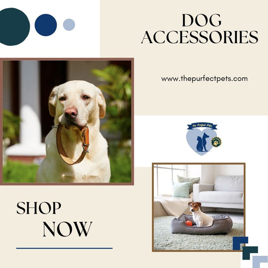 Discover what makes The Purfect Pets online store the best!