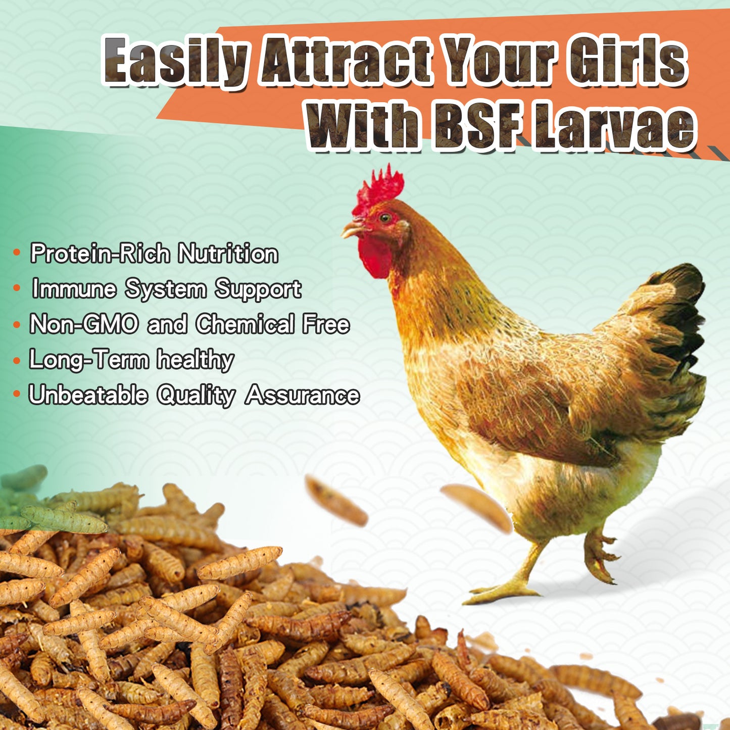 LuckyQworms 10LB Dried Black Soldier Fly Larvae