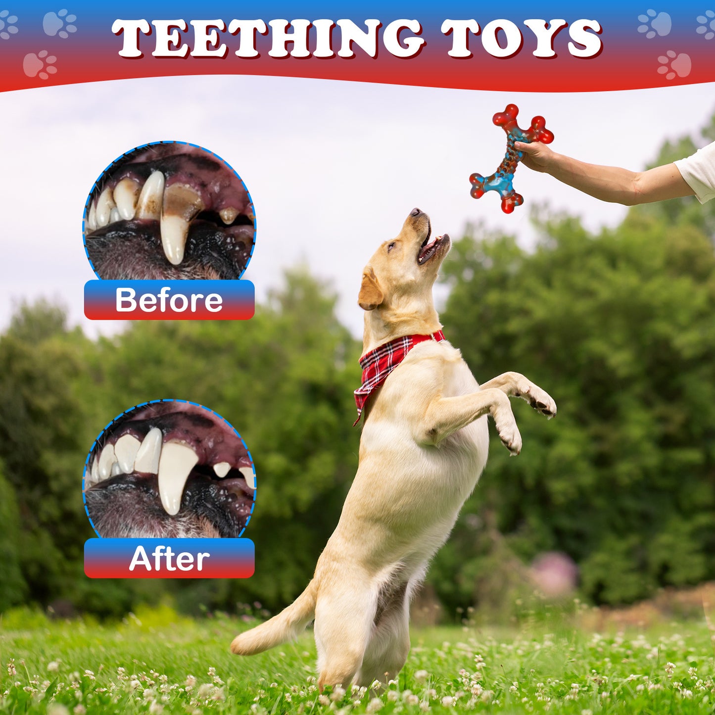 Red Blue Mixed Color Dog Chew Toys, Tough For Super Chewer