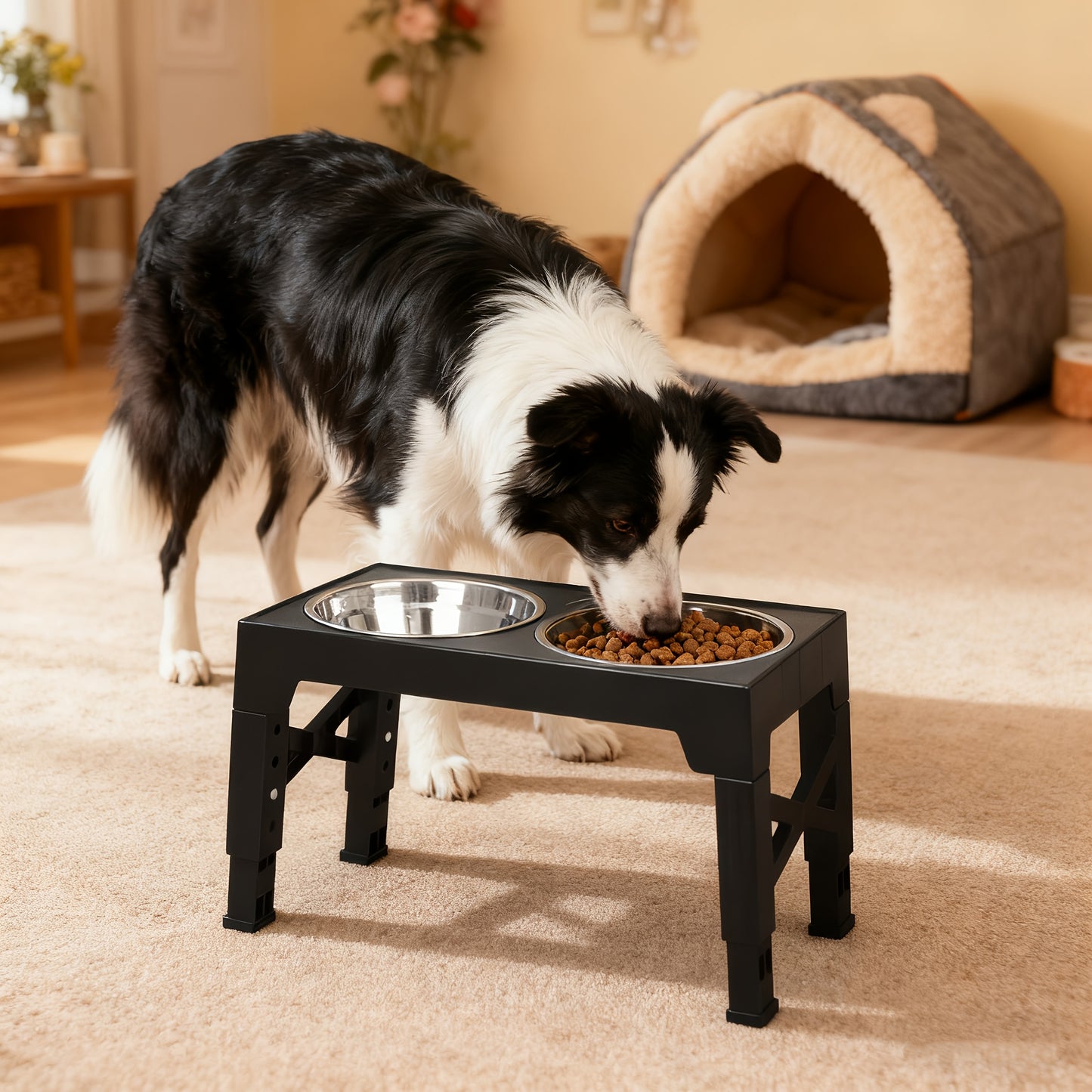 Elevated Dog Bowls with 2 Food Bowls