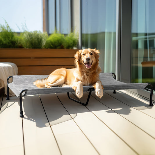 Raised Dog Beds For Large Dogs