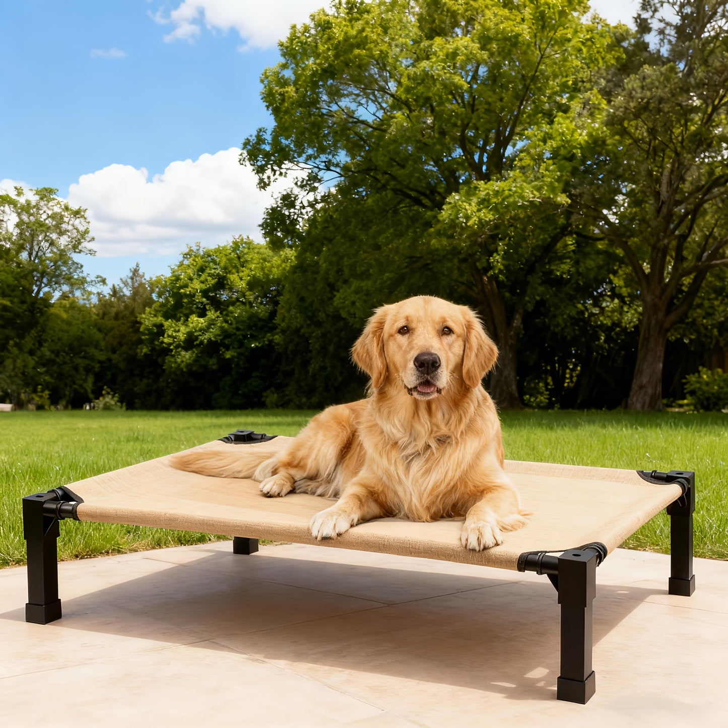 Cooling Elevated Dog Bed