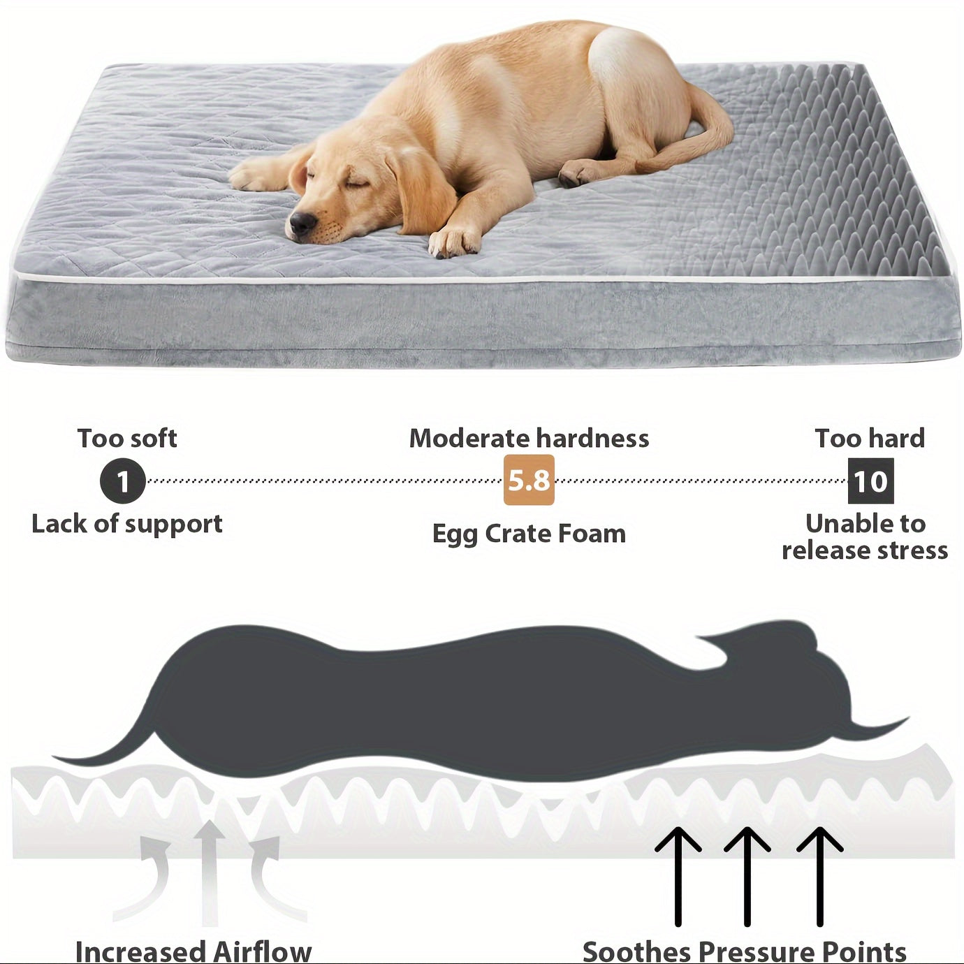 Orthopedic Dog Bed For Large Dogs