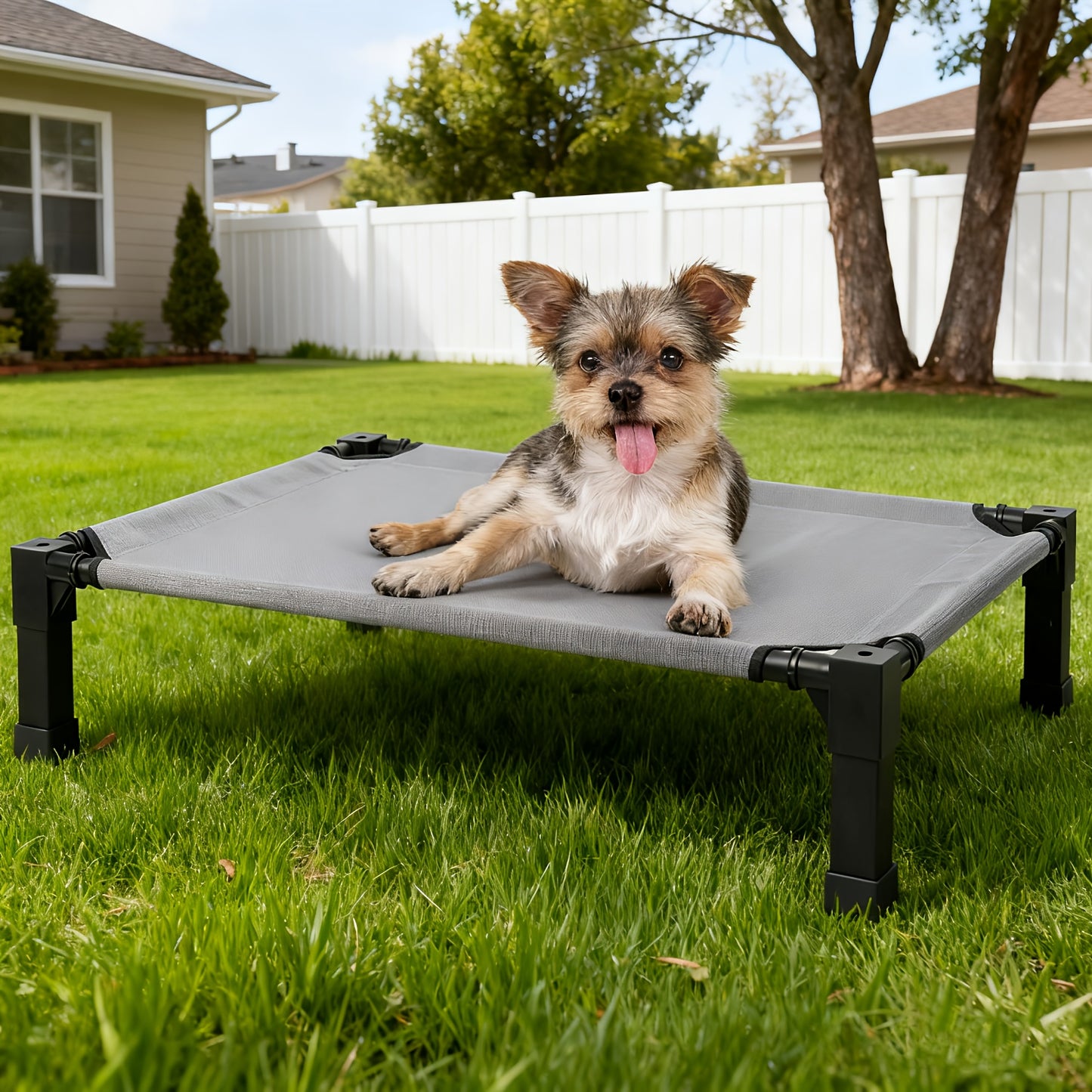 Cooling Elevated Dog Bed