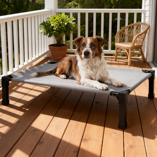 Cooling Elevated Dog Bed