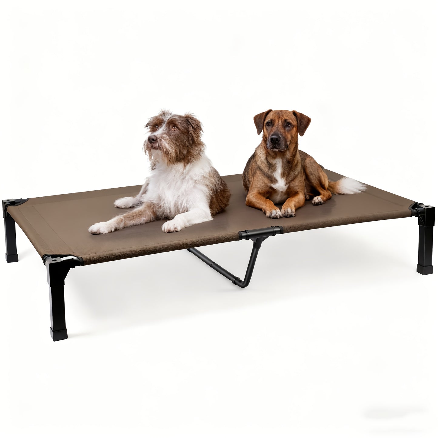 Cooling Elevated Dog Bed