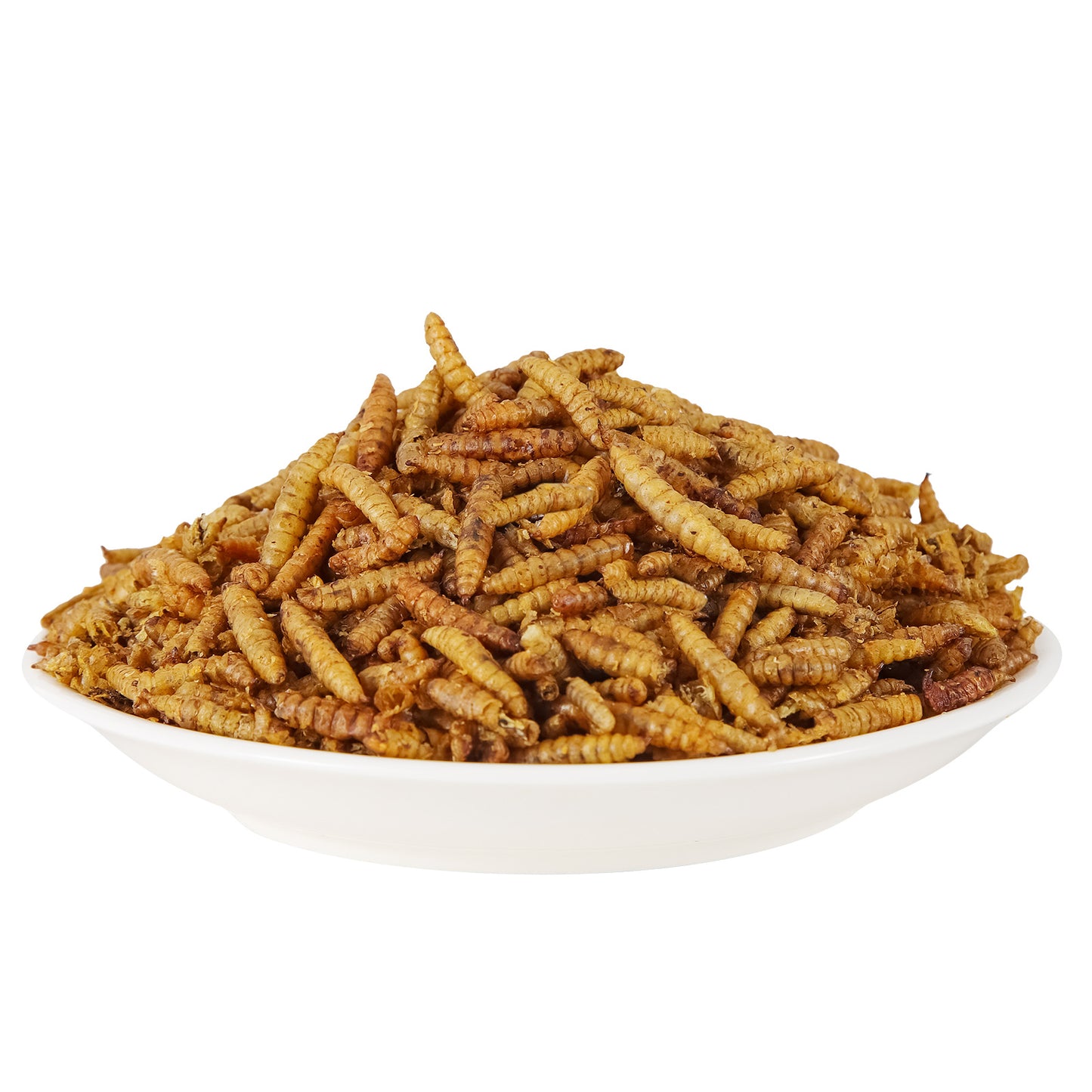 LuckyQworms 10LB Dried Black Soldier Fly Larvae
