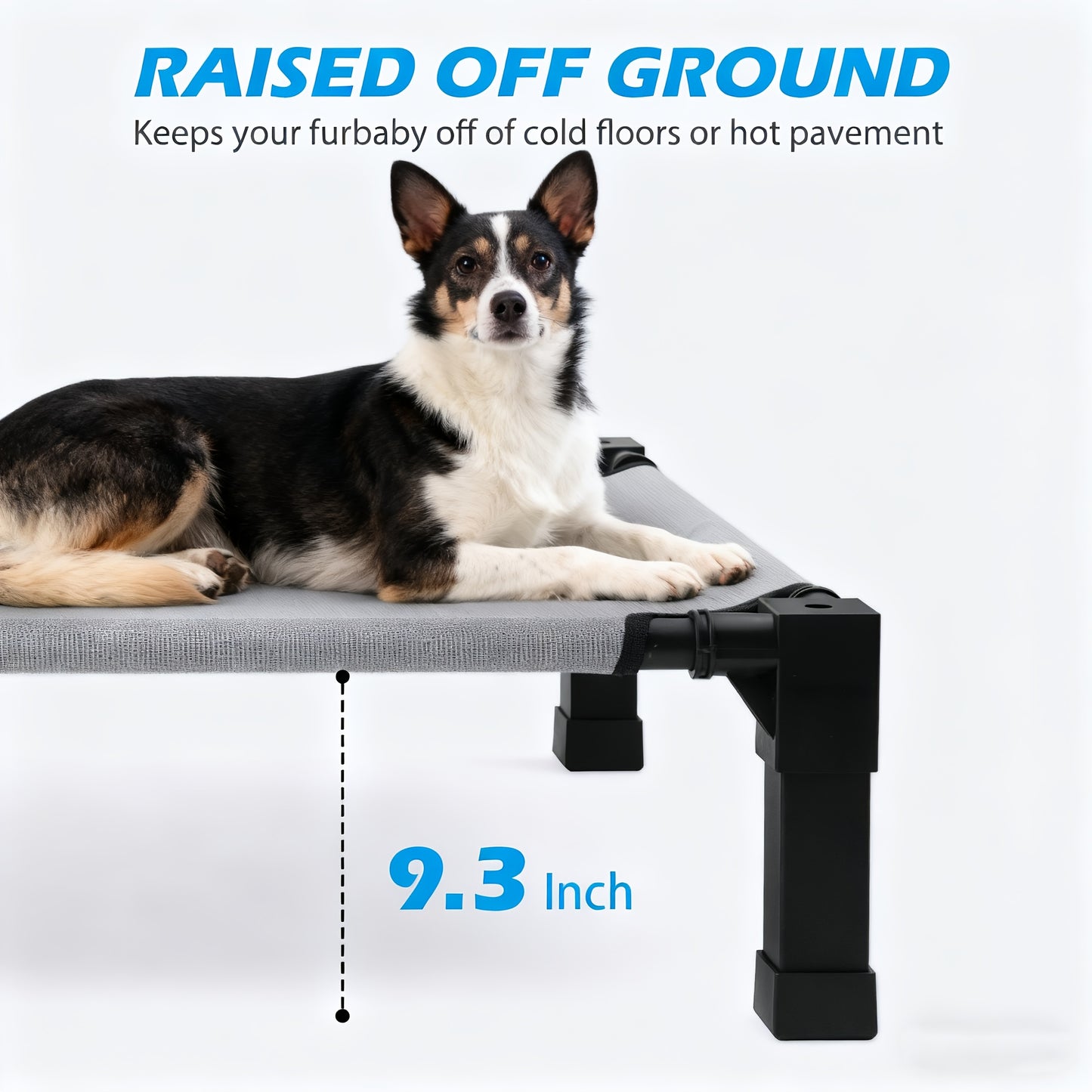 Cooling Elevated Dog Bed