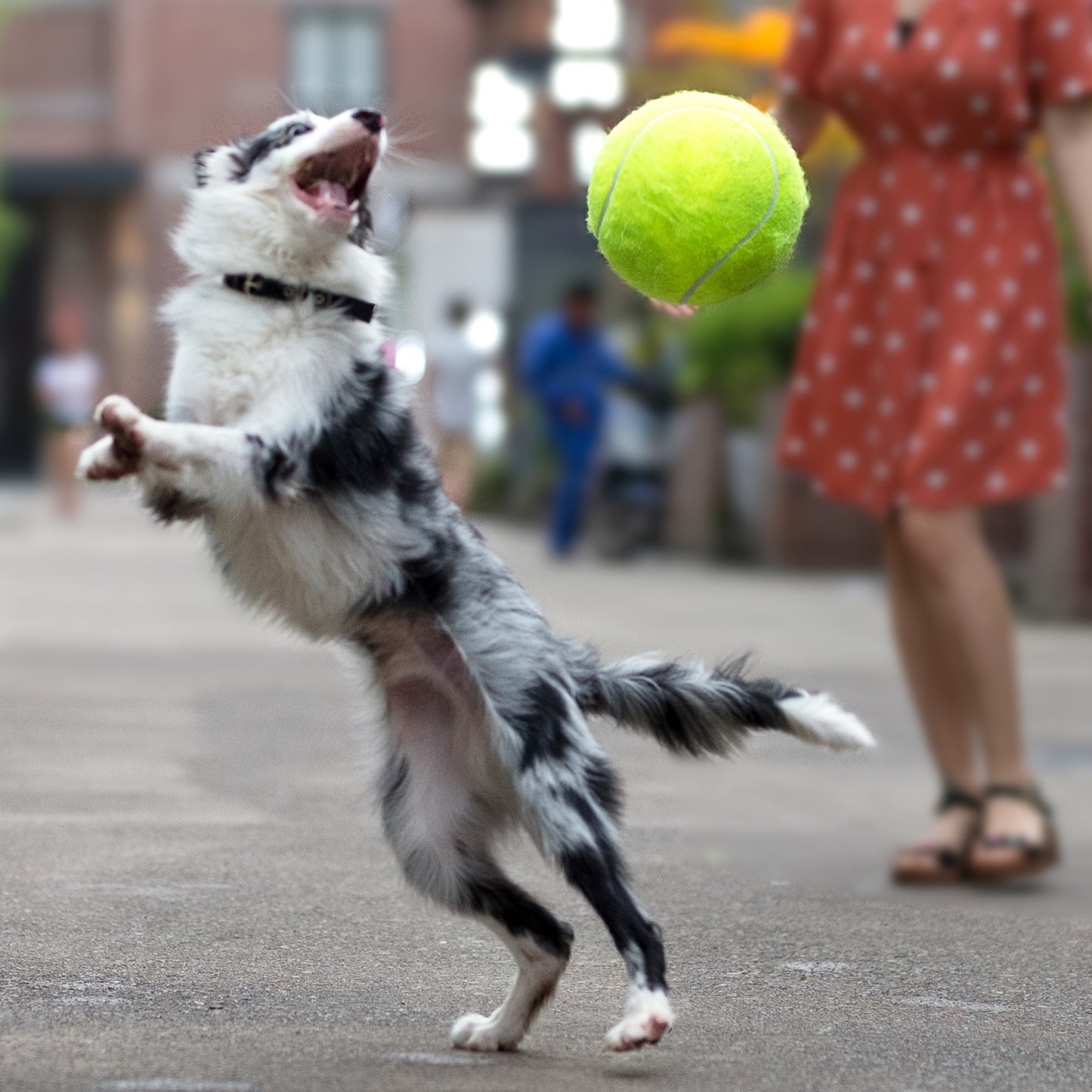 1pc Interactive Giant 9.5" Dog Tennis Ball