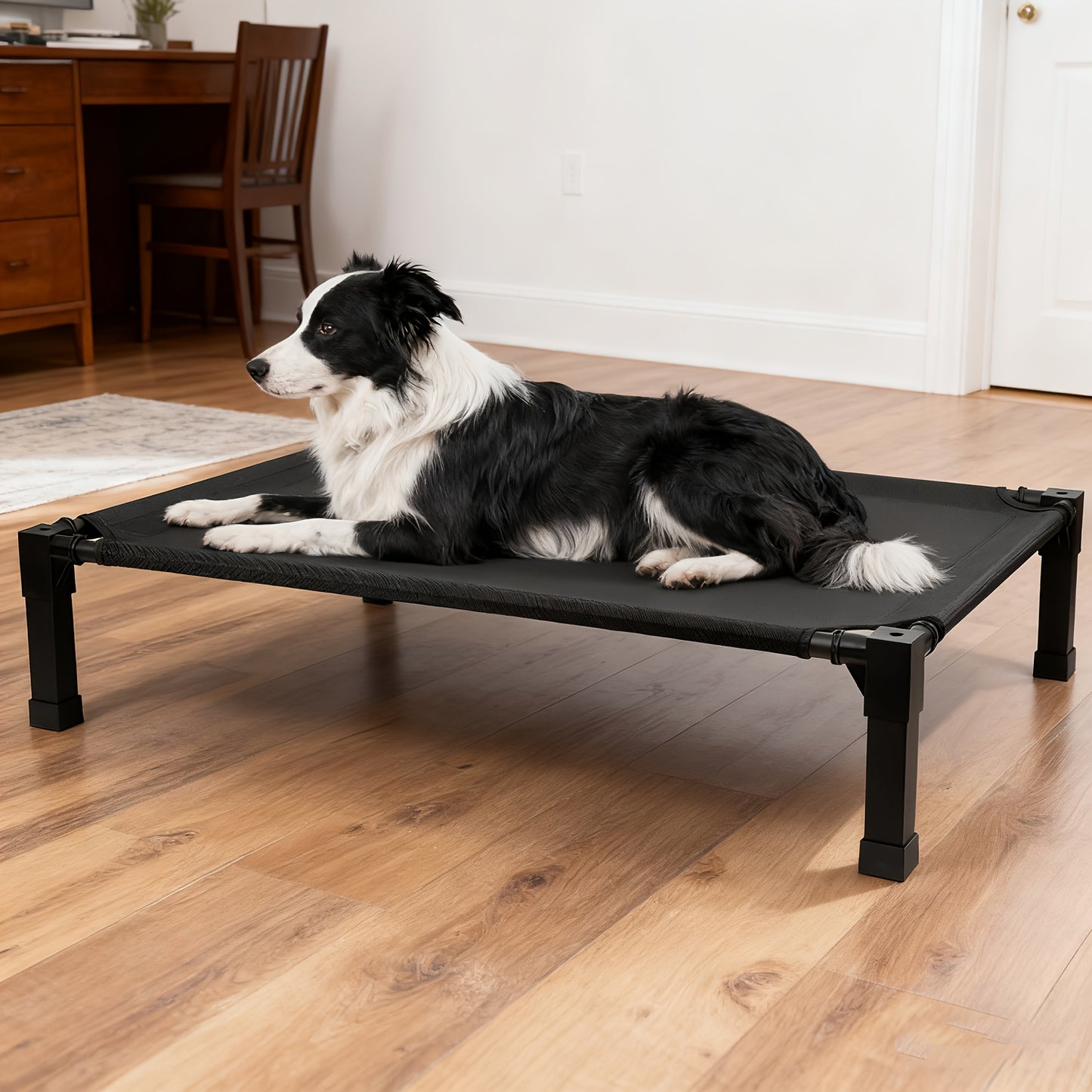 Cooling Elevated Dog Bed