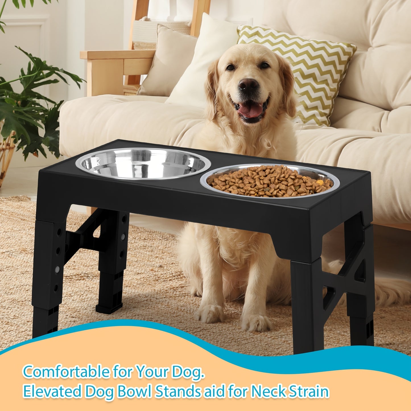Elevated Dog Bowls with 2 Food Bowls