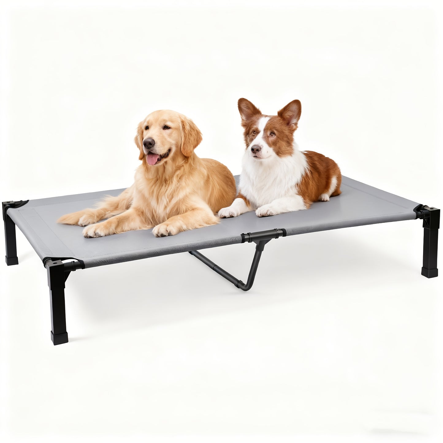 Cooling Elevated Dog Bed