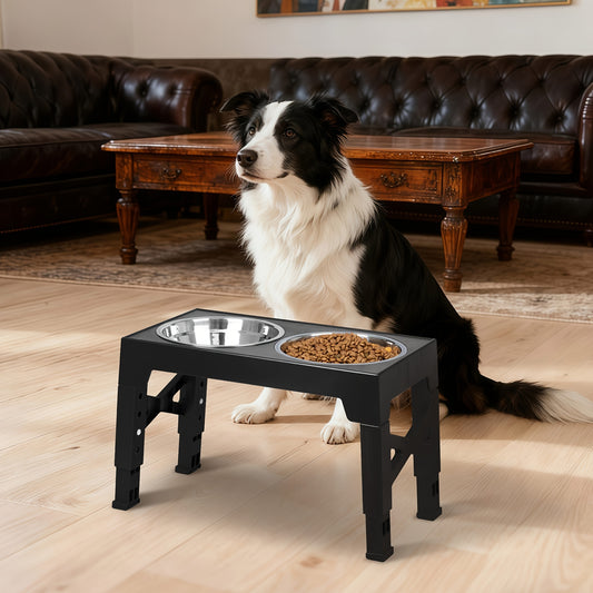 Elevated Dog Bowls with 2 Food Bowls