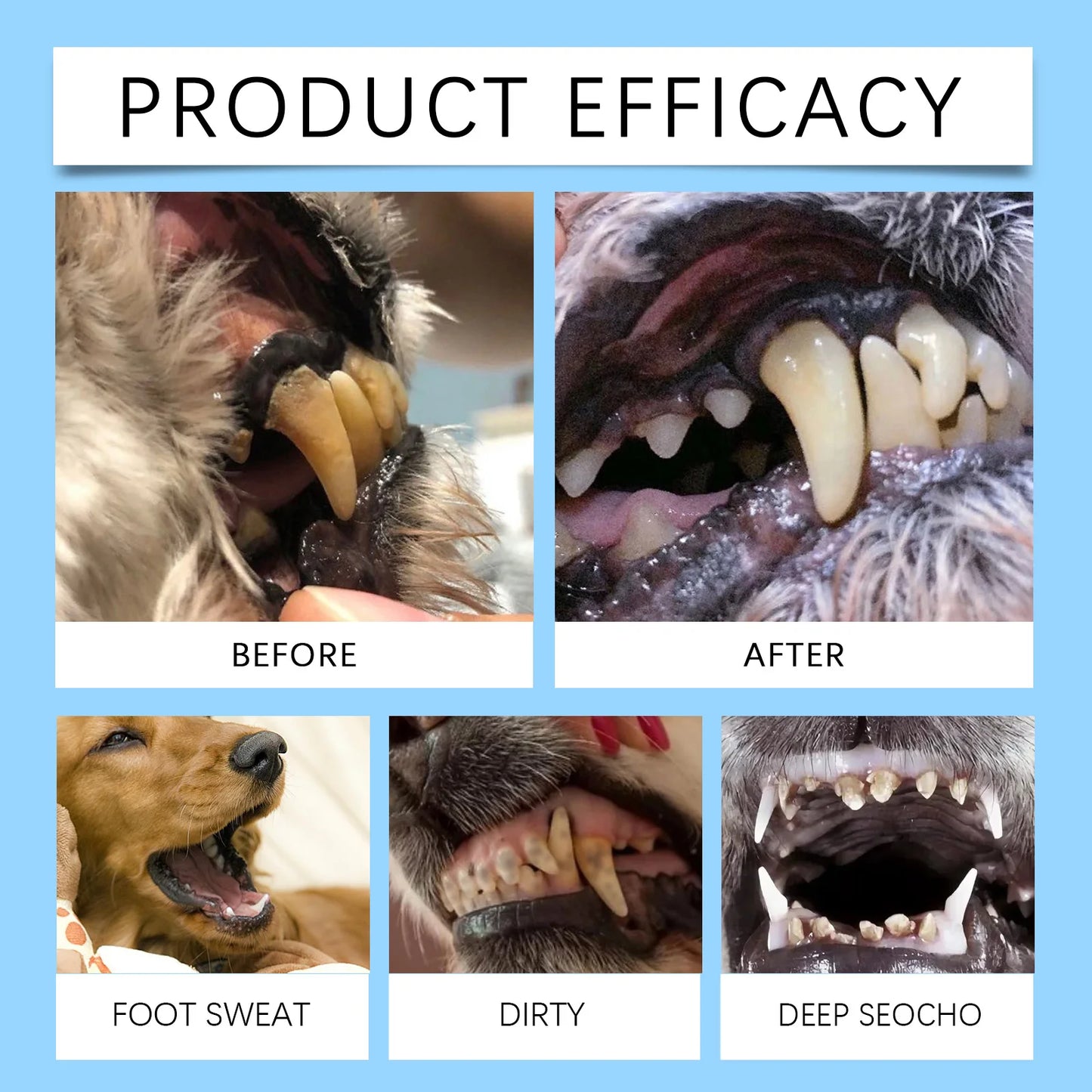 1PC Dog Cat Pet Teeth Cleaning Pen
