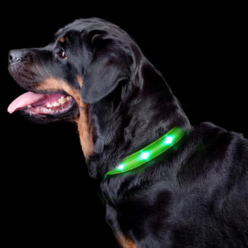 LED Dog/Cat Collar Luminous Safety Glow Necklace