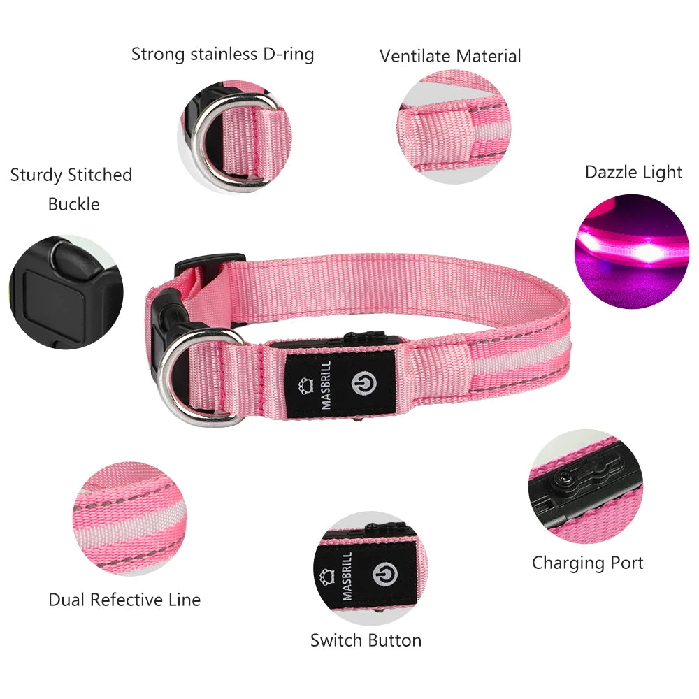 Light Up Dog Collar Waterproof USB Rechargeable