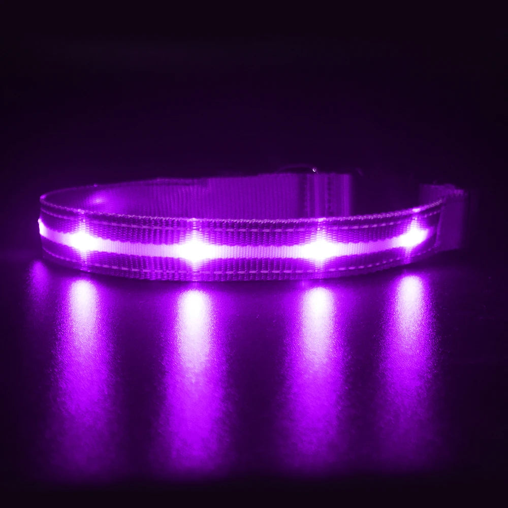 LED Dog/Cat Collar Luminous Safety Glow Necklace