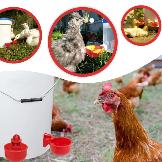 5pcs Chicks, Duck, Goose, Bunny Poultry Water Feeder