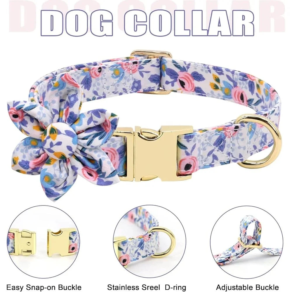 Dog Harness Leash Collar Set