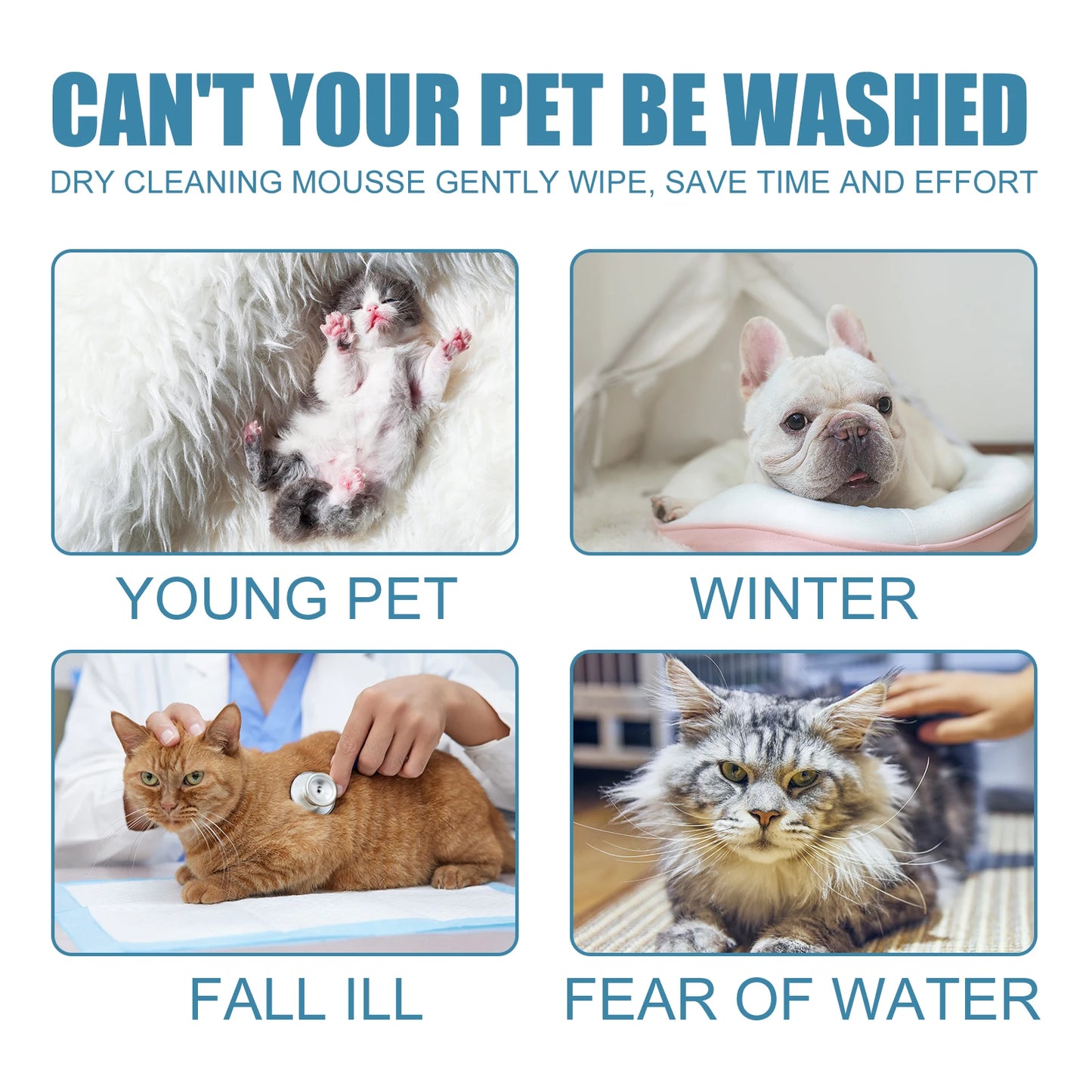 Pet Dry Cleaning  Shampoo Waterless