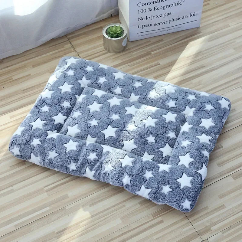 Double-sided Pet Mat Mats