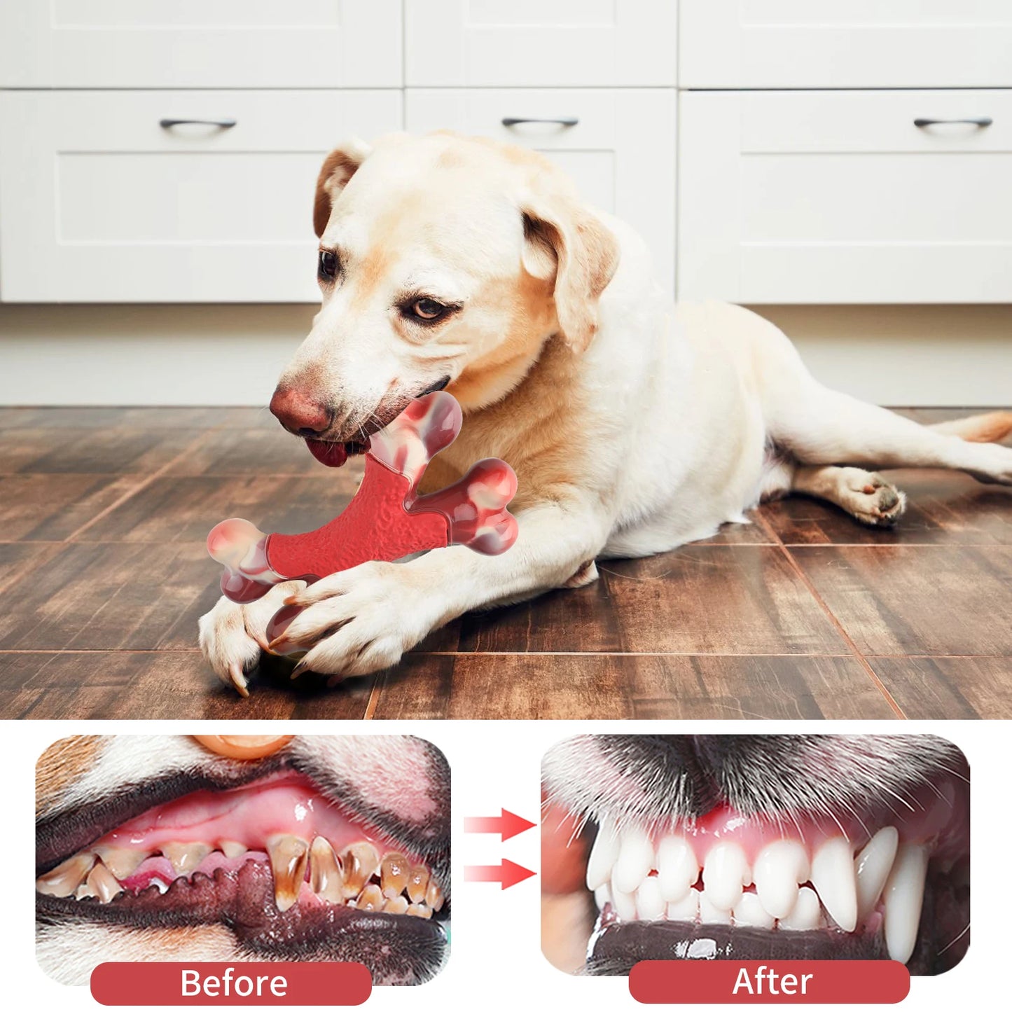 Pet Dog Chew Toy Durable Dog Double Bone