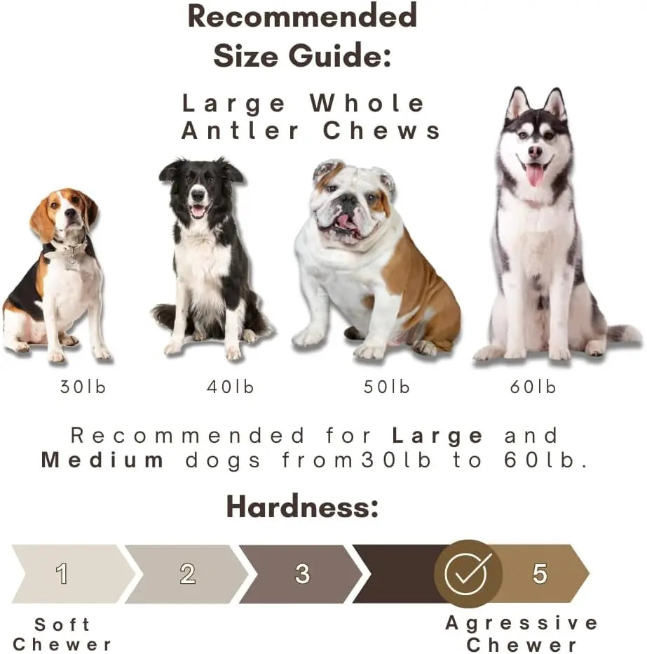 Large Dogs, Antler Dog Chews