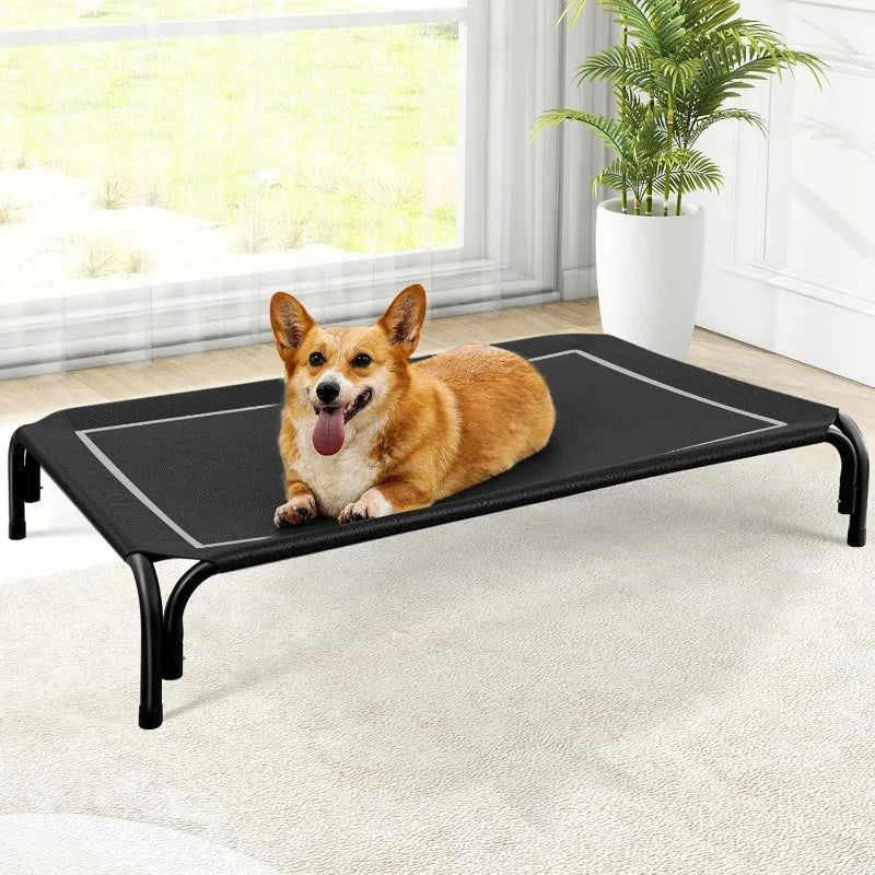 Elevated Dog Bed for Large Sized Dog