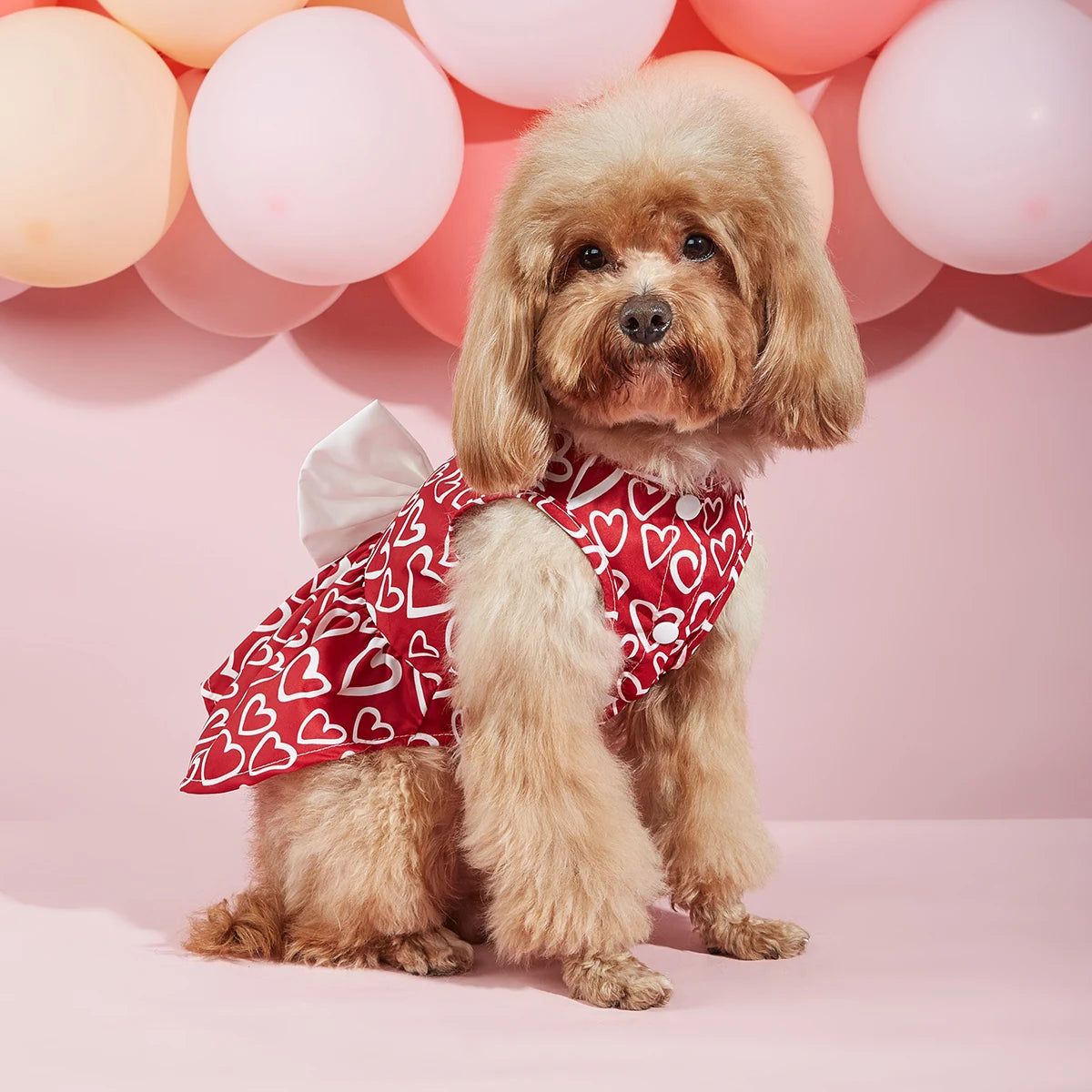 red tulle pet dress is the perfect outfit for your furry friend