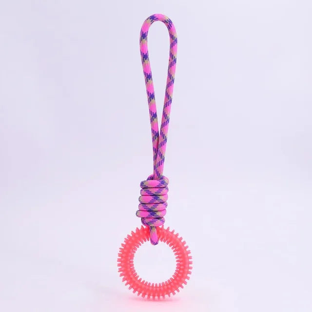 Interactive Training Pet Toy Ring S