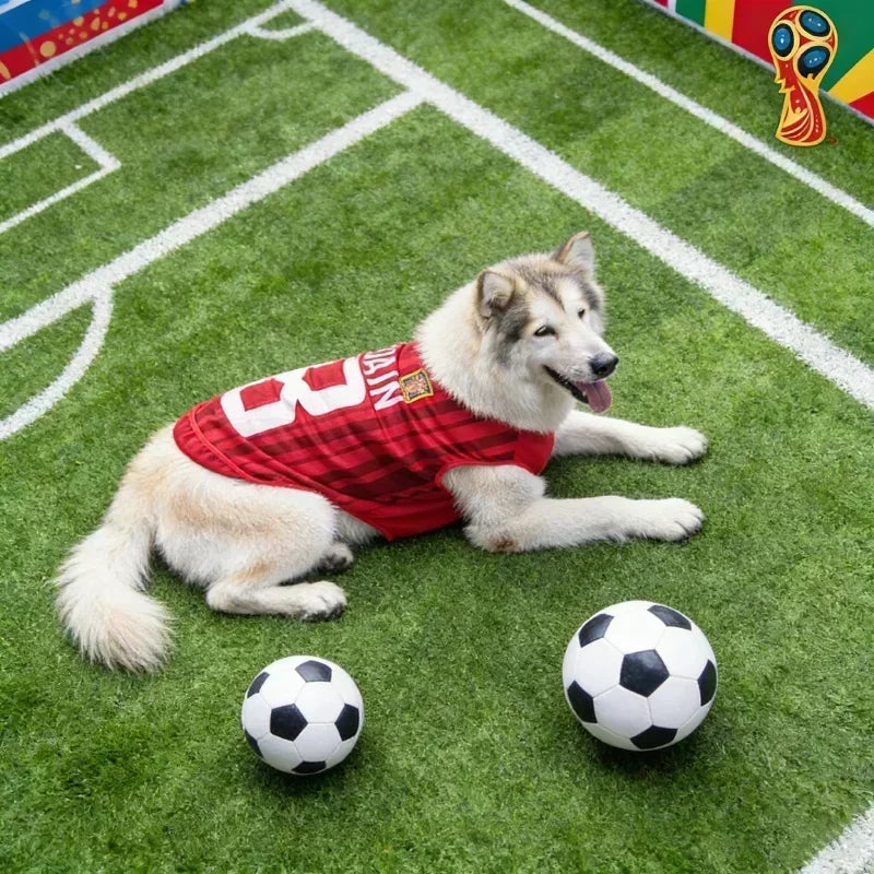 Pet World Cup National Team Jersey
