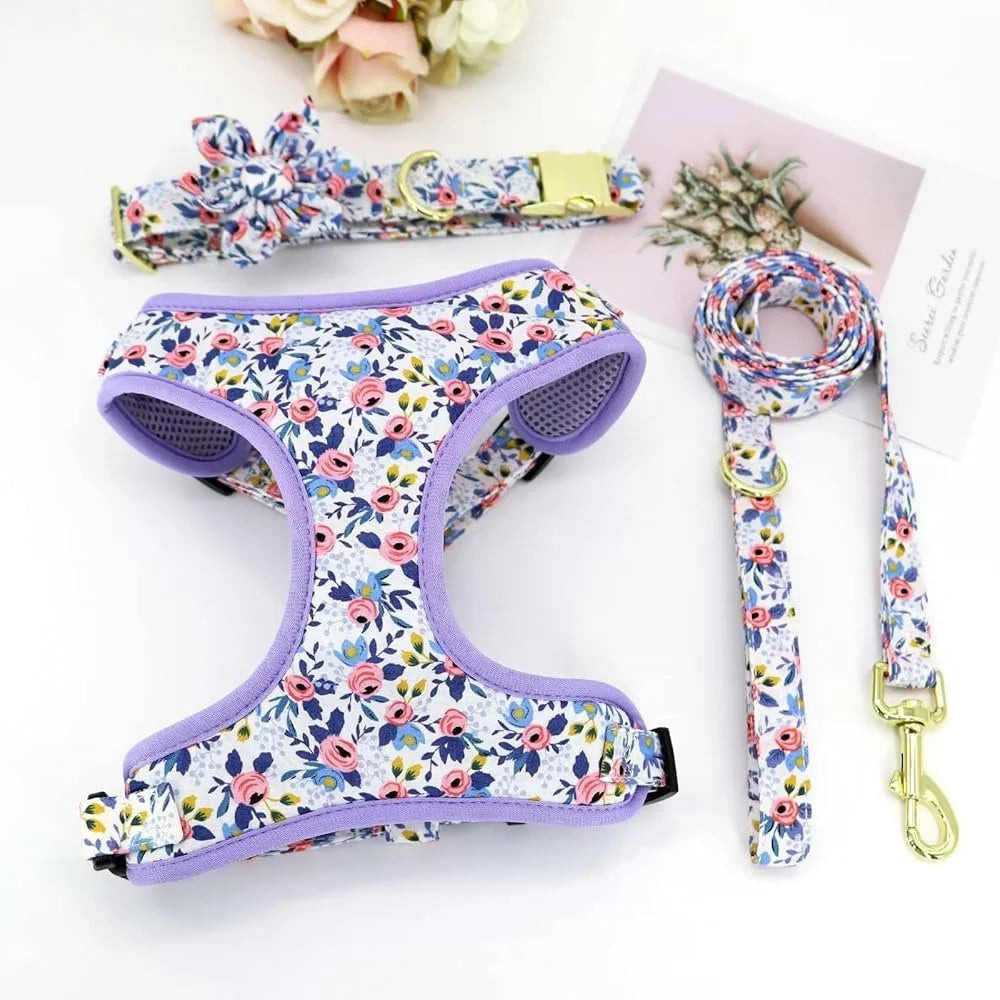 Dog Harness Leash Collar Set