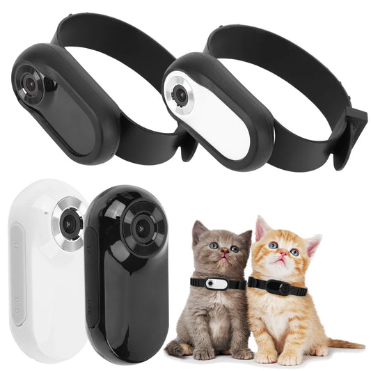 Wireless Collar Camera Video Records Dog