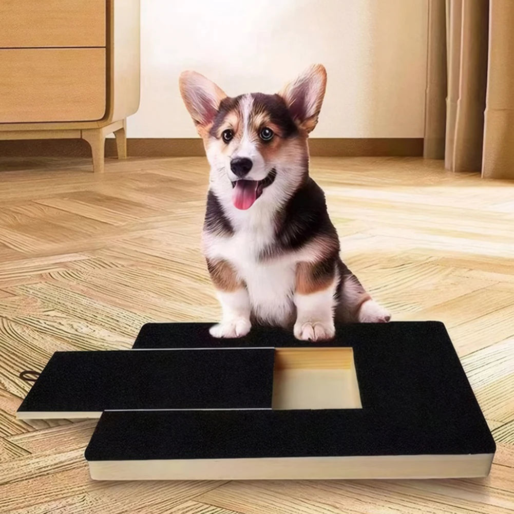 Dog Nail Scratch Pad with Treat Box