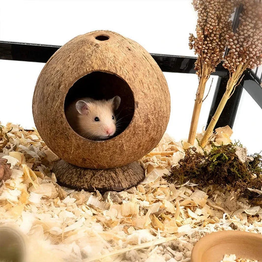Natural Small Pet Coconut Cages