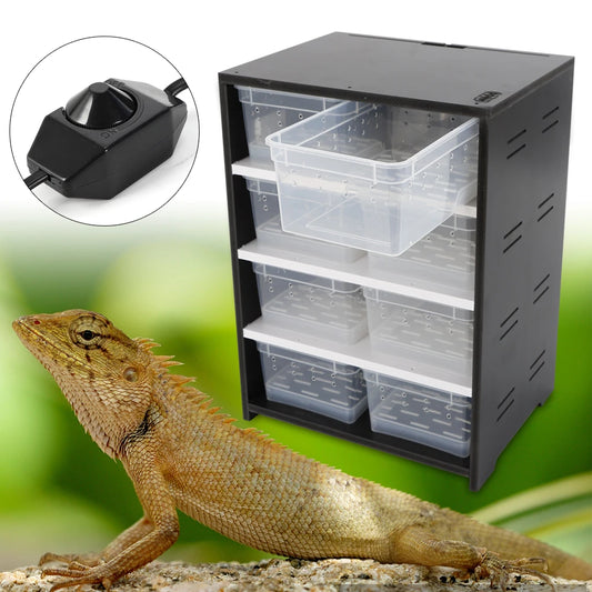 Professional Reptile Breeding Tank