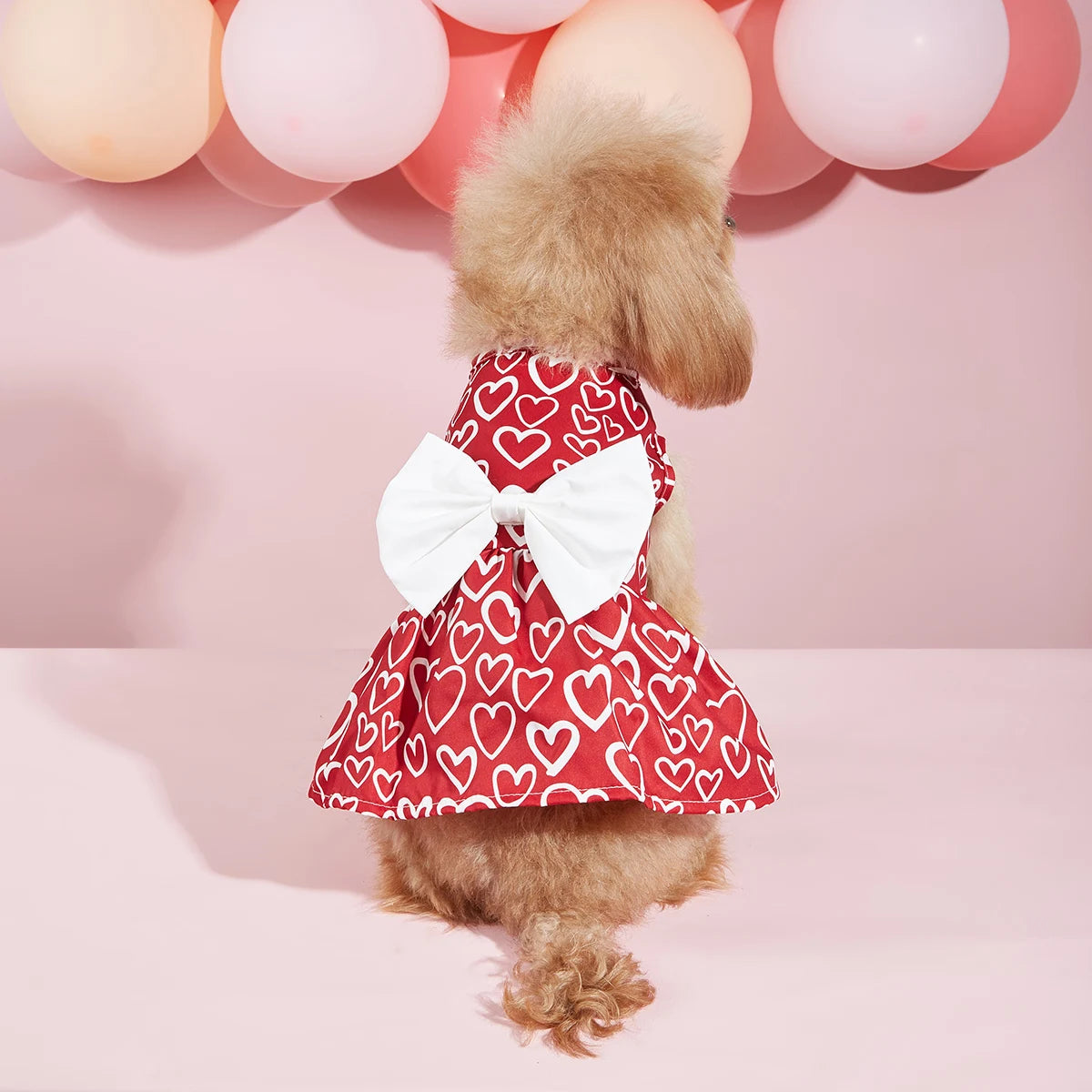 red tulle pet dress is the perfect outfit for your furry friend