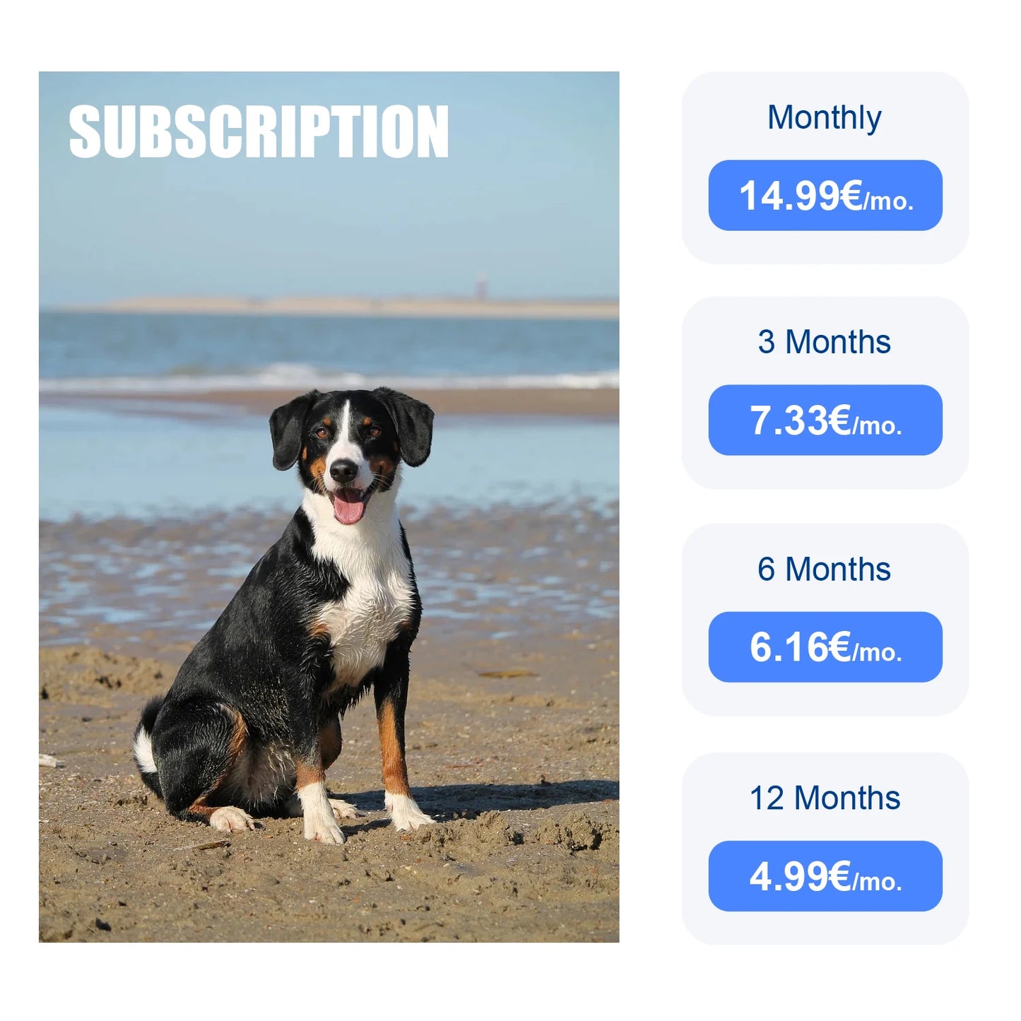 ‌4G Dog Cat GPS Tracker for Pets