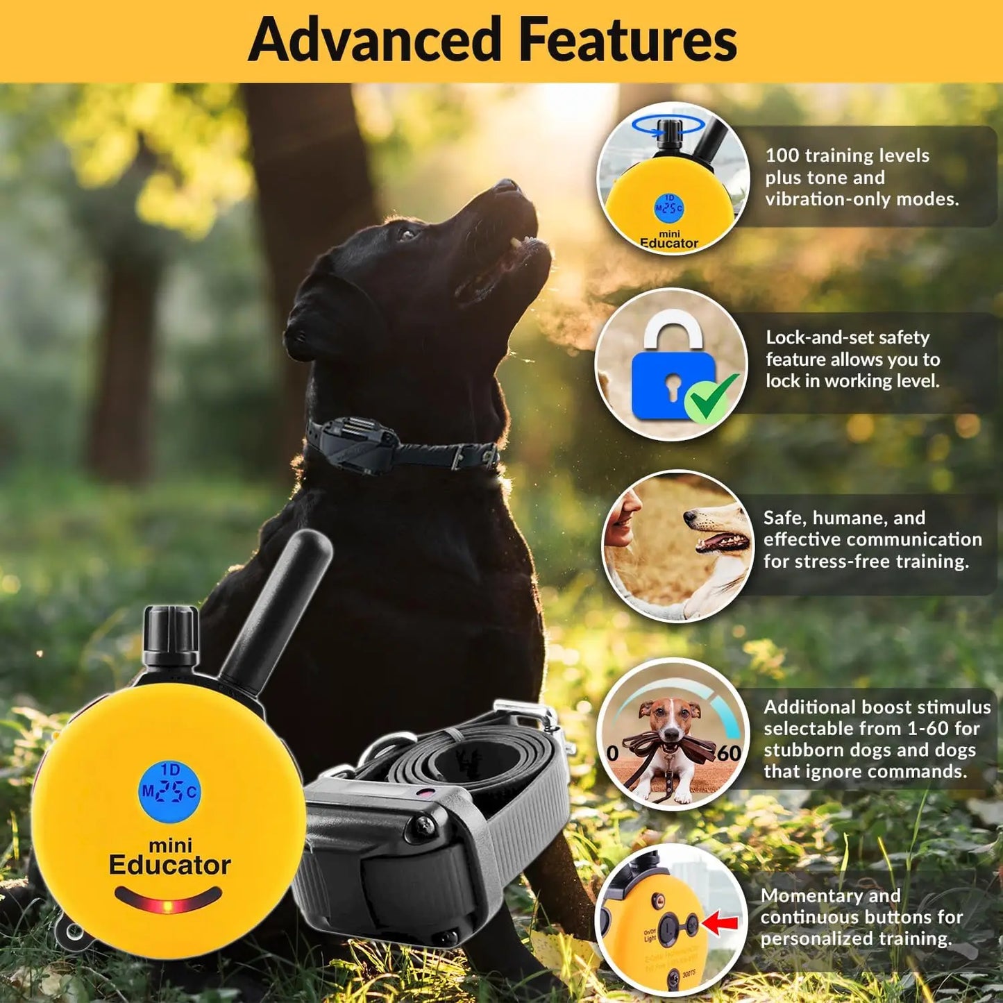 Humane Dog Training Collar with Remote