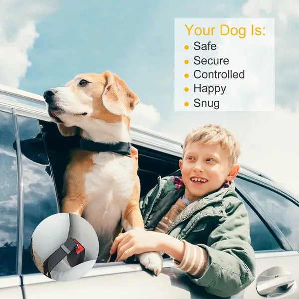 Dog Seat Belt Leash Adjustable