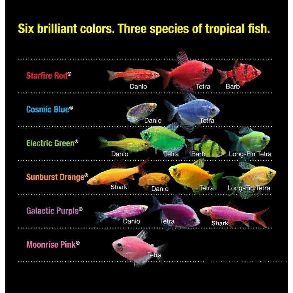 Fishbowl &  Regulator Fish Aquarium  Kit Including Fish Tank Decorations & LED Lighting