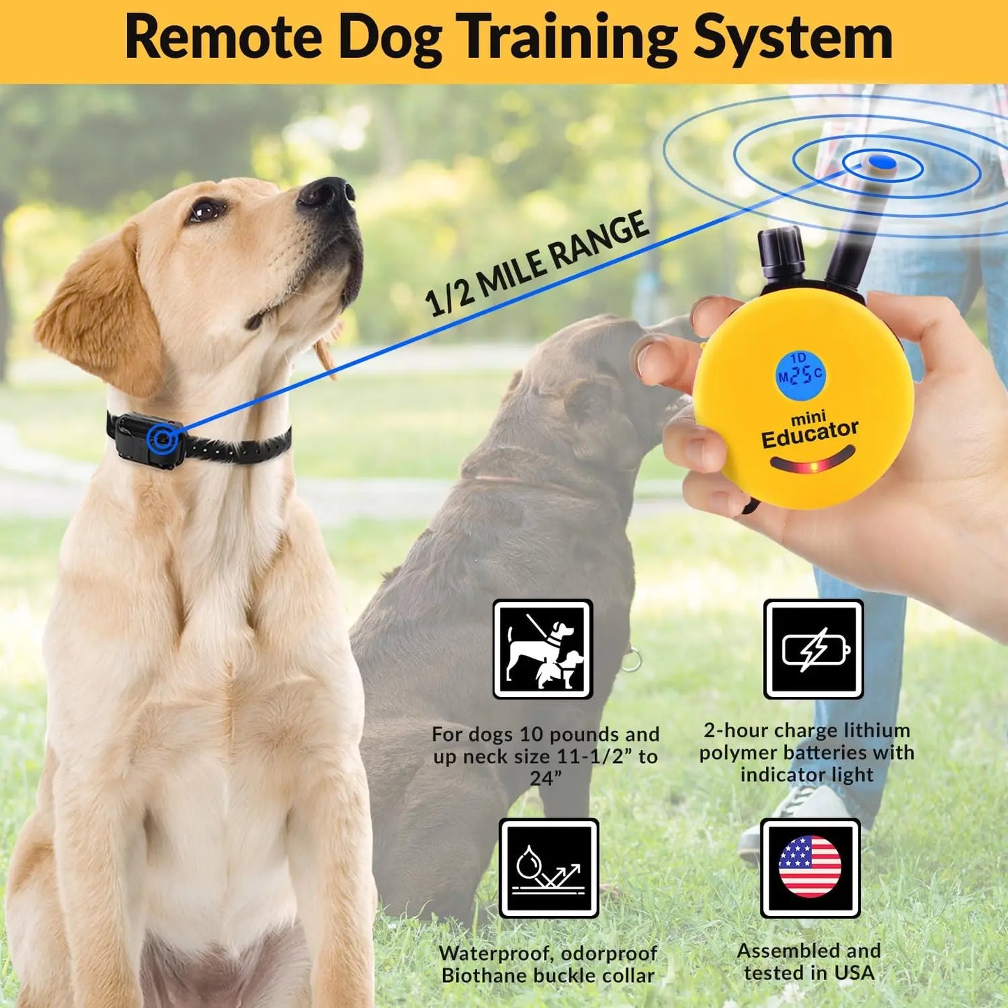 Humane Dog Training Collar with Remote